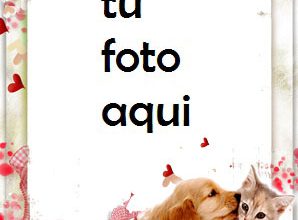 Marco Para Foto Mi Primer Amor Amor Marcos 298x220 - Marco Para Foto Mi Primer Amor Amor Marcos