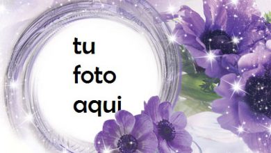 Marco Para Foto Mi Sueño Amor Marcos 390x220 - Marco Para Foto Mi Sueño Amor Marcos