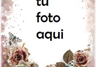 Marco Para Foto Mis Sentimientos Románticos Hacia Ti Amor Marcos 316x220 - Marco Para Foto Mis Sentimientos Románticos Hacia Ti Amor Marcos