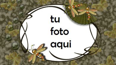 Marco Para Foto Mosca Del Dragón En Estilo Japonés Primavera Marcos 390x220 - Marco Para Foto Mosca Del Dragón En Estilo Japonés Primavera Marcos