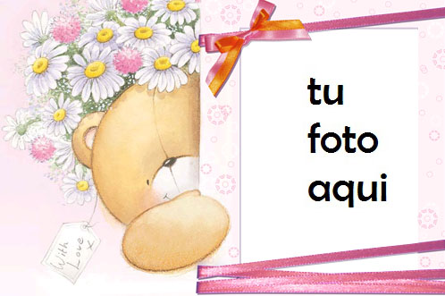 Marco Para Foto Oso De Peluche Chamomiles Amor Marcos - Marco Para Foto Oso De Peluche Chamomiles Amor Marcos