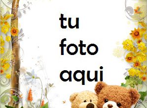 Marco Para Foto Osos De Peluche Notables Amor Marcos 298x220 - Marco Para Foto Osos De Peluche Notables Amor Marcos