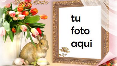 Marco Para Foto Pascua Familiar Primavera Marcos 390x220 - Marco Para Foto Pascua Familiar Primavera Marcos