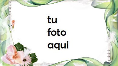 Marco Para Foto Penacho Deja Amor Marcos 390x220 - Marco Para Foto Penacho Deja Amor Marcos
