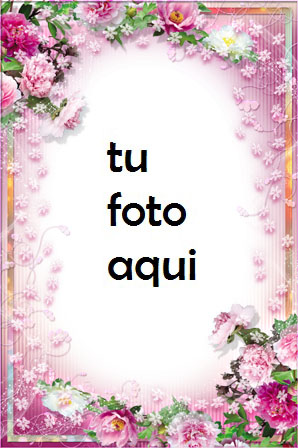 Marco Para Foto Peonías Magníficas Amor Marcos - Marco Para Foto Peonías Magníficas Amor Marcos