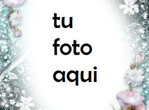Marco Para Foto Peonias Encanto Y Belleza Amor Marcos 298x220 - Marco Para Foto Peonias Encanto Y Belleza Amor Marcos