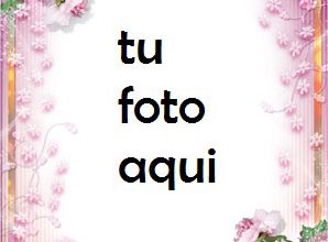 Marco Para Foto Peonías Magníficas Amor Marcos 298x220 - Marco Para Foto Peonías Magníficas Amor Marcos