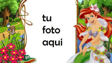 Marco Para Foto Pequeñas Abejas Niños Marcos 390x220 - Marco Para Foto Pequeñas Abejas Niños Marcos