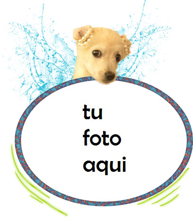 Marco Para Foto Perrito Variedad Marcos - Marco Para Foto Perrito Variedad Marcos
