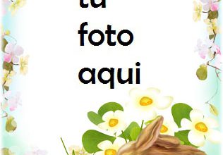 Marco Para Foto Pollo Y Conejo De Pascua Primavera Marcos 316x220 - Marco Para Foto Pollo Y Conejo De Pascua Primavera Marcos