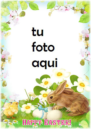 Marco Para Foto Pollo Y Conejo De Pascua Primavera Marcos - Marco Para Foto Pollo Y Conejo De Pascua Primavera Marcos