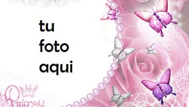 Marco Para Foto Princesa Rosa Amor Marcos 390x220 - Marco Para Foto Princesa Rosa Amor Marcos
