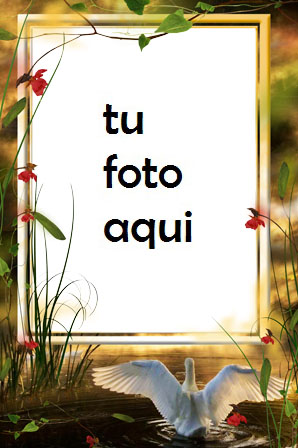 Marco Para Foto Rayo De Sol Amor Marcos - Marco Para Foto Rayo De Sol Amor Marcos