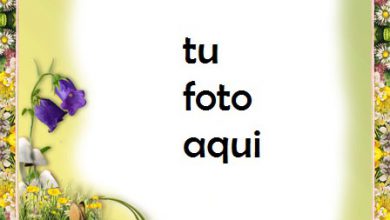 Marco Para Foto Recuerdos Del Verano Con Hermoso Marco De Fotos Amor Marcos 390x220 - Marco Para Foto Recuerdos Del Verano Con Hermoso Marco De Fotos Amor Marcos