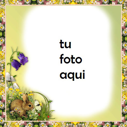 Marco Para Foto Recuerdos Del Verano Con Hermoso Marco De Fotos Amor Marcos - Marco Para Foto Recuerdos Del Verano Con Hermoso Marco De Fotos Amor Marcos