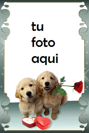 Marco Para Foto Regalo Romántico Amor Marcos - Marco Para Foto Regalo Romántico Amor Marcos