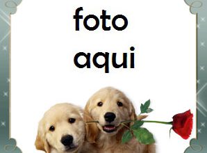Marco Para Foto Regalo Romántico Amor Marcos 298x220 - Marco Para Foto Regalo Romántico Amor Marcos