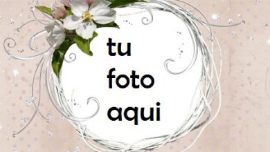 Marco Para Foto Resumen Rosa Amor Marcos 390x220 - Marco Para Foto Resumen Rosa Amor Marcos