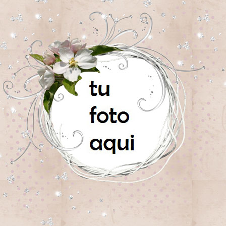 Marco Para Foto Resumen Rosa Amor Marcos - Marco Para Foto Resumen Rosa Amor Marcos