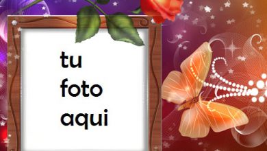 Marco Para Foto Rosa Y Mariposa Amor Marcos 390x220 - Marco Para Foto Rosa Y Mariposa Amor Marcos