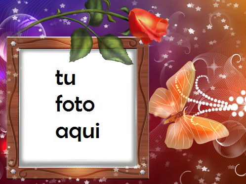 Marco Para Foto Rosa Y Mariposa Amor Marcos - Marco Para Foto Rosa Y Mariposa Amor Marcos