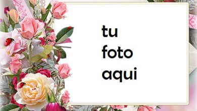 Marco Para Foto Rosas De Un Jardín Amor Marcos 390x220 - Marco Para Foto Rosas De Un Jardín Amor Marcos