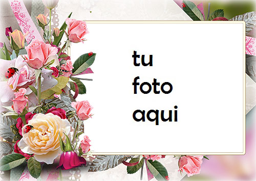 Marco Para Foto Rosas De Un Jardín Amor Marcos - Marco Para Foto Rosas De Un Jardín Amor Marcos