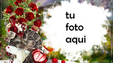 Marco Para Foto Rosas Rojas Con Perfume En Forma De Corazón Amor Marcos 390x220 - Marco Para Foto Rosas Rojas Con Perfume En Forma De Corazón Amor Marcos