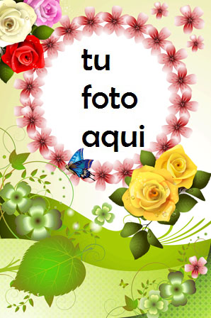 Marco Para Foto Rosas Románticas Amor Marcos - Marco Para Foto Rosas Románticas Amor Marcos