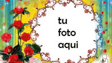 Marco Para Foto Rosas Y Mariposas Amor Marcos 390x220 - Marco Para Foto Rosas Y Mariposas Amor Marcos