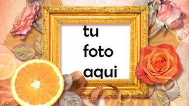 Marco Para Foto Rosas Y Naranja Amor Marcos 390x220 - Marco Para Foto Rosas Y Naranja Amor Marcos