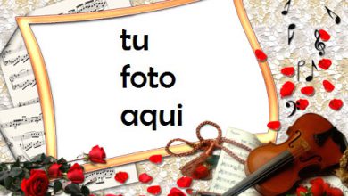 Marco Para Foto Rosas Y Violín Amor Marcos 390x220 - Marco Para Foto Rosas Y Violín Amor Marcos