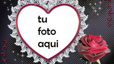 Marco Para Foto Rose Heart Amor Marcos 390x220 - Marco Para Foto Rose Heart Amor Marcos