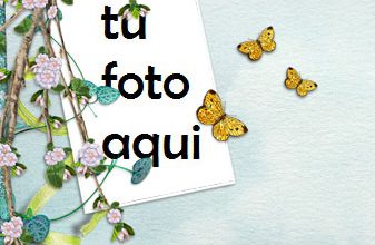 Marco Para Foto Sakura Y Mariposas Amor Marcos 337x220 - Marco Para Foto Sakura Y Mariposas Amor Marcos