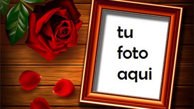 Marco Para Foto Se Levantó Sobre La Mesa Amor Marcos 390x220 - Marco Para Foto Se Levantó Sobre La Mesa Amor Marcos