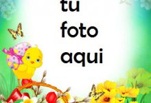 Marco Para Foto Tarjeta De Pascua Brillante Primavera Marcos 220x150 - Marco Para Foto Tarjeta De Pascua Brillante Primavera Marcos