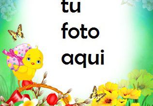 Marco Para Foto Tarjeta De Pascua Brillante Primavera Marcos 316x220 - Marco Para Foto Tarjeta De Pascua Brillante Primavera Marcos
