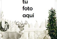 Marco Para Foto Tema De Invierno De Cuento De Hadas Invierno Marcos 1 220x150 - Marco Para Foto Tema De Invierno De Cuento De Hadas Invierno Marcos