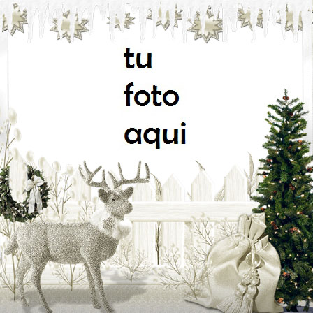 Marco Para Foto Tema De Invierno De Cuento De Hadas Invierno Marcos 1 - Marco Para Foto Tema De Invierno De Cuento De Hadas Invierno Marcos
