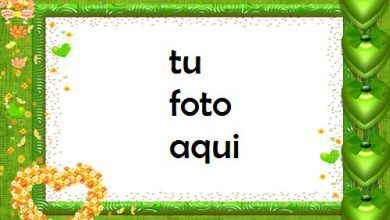 Marco Para Foto Tema Romántico De Verano Amor Marcos 390x220 - Marco Para Foto Tema Romántico De Verano Amor Marcos