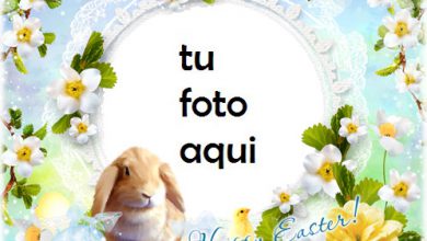 Marco Para Foto Ten Una Pascua Feliz Y Lupulada Primavera Marcos 390x220 - Marco Para Foto Ten Una Pascua Feliz Y Lupulada Primavera Marcos