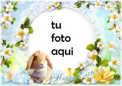 Marco Para Foto Ten Una Pascua Feliz Y Lupulada Primavera Marcos - Marco Para Foto Ten Una Pascua Feliz Y Lupulada Primavera Marcos