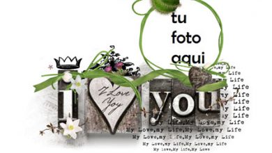 Marco Para Foto Vacaciones Encantadoras Año Nuevo Amor Marcos 390x220 - Marco Para Foto Vacaciones Encantadoras Año Nuevo Amor Marcos