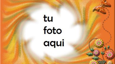 Marco Para Foto Verano Naranja Amor Marcos 390x220 - Marco Para Foto Verano Naranja Amor Marcos