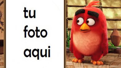 Marco Para Foto Película De Pájaros Enojados Niños Marcos 390x220 - Marco Para Foto Película De Pájaros Enojados Niños Marcos