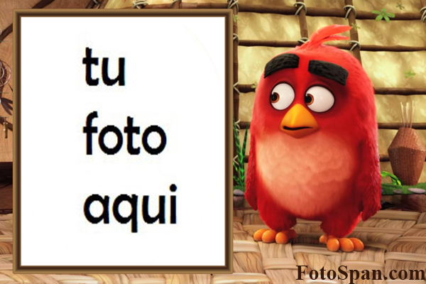 Marco Para Foto Película De Pájaros Enojados Niños Marcos - Marco Para Foto Película De Pájaros Enojados Niños Marcos
