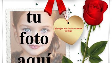El mejor día de San Valentín contigo 390x220 - El mejor día de San Valentín contigo