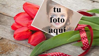 Un ramo de rosas para San Valentín Foto Marcos 390x220 - Un ramo de rosas para San Valentín Foto Marcos