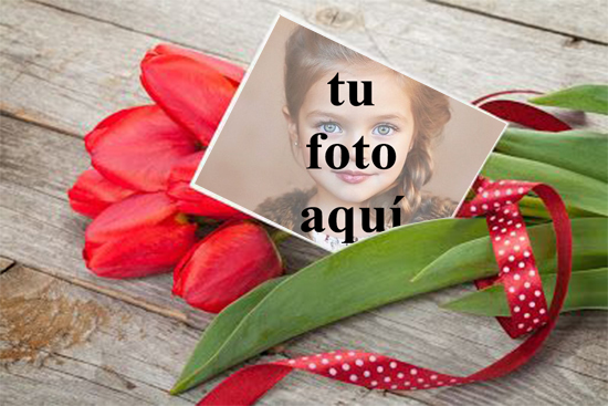 Un ramo de rosas para San Valentín Foto Marcos - Un ramo de rosas para San Valentín Foto Marcos