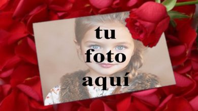 tu eres mi rosa roja Foto Marcos 390x220 - tu eres mi rosa roja Foto Marcos